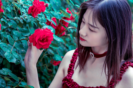 宁夏供港蔬菜实现自营出口“零”突破 告别“曲线出口”模式